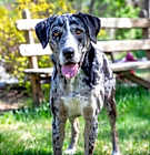 Photo of HARPER