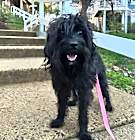 Photo of Dora