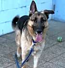 Photo of Max