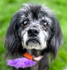 Photo of Lucy
