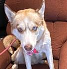 Photo of Roxy