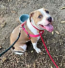 Photo of Ladybug