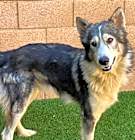 Photo of Lakota