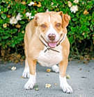 Photo of Shirley