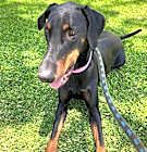 Photo of Gia