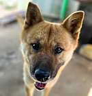 Photo of Duke