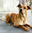 Photo of Gretel