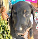 Photo of Samantha