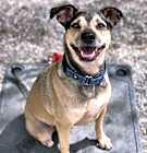 Photo of Holly