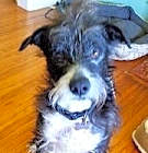 Photo of Santos