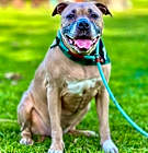 Photo of Penny