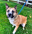 Photo of Jessie
