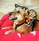 Photo of Wendolyn