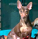 Photo of Luidgy