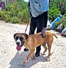 Photo of Maggie