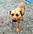 Photo of Chacha