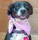 Photo of Layka