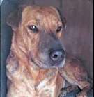 Photo of Tootsie
