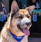 Photo of Sammy
