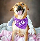 Photo of Molly