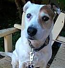 Photo of ALICE-Special Needs