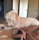 Photo of LEON-Urgent-Help needed