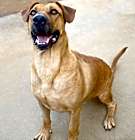 Photo of Bartholomew
