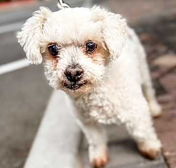 Winston Photo #1