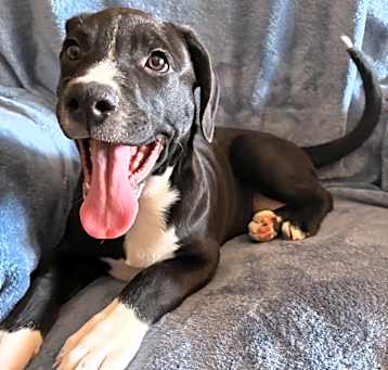 Waylon Photo #4