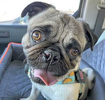 Leroy Brown Photo #2