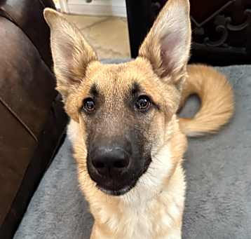Max Photo #3