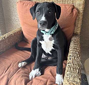 Waylon Photo #1