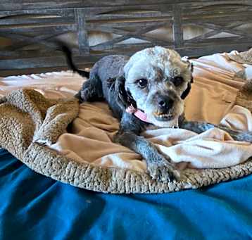 Peggy Photo #4