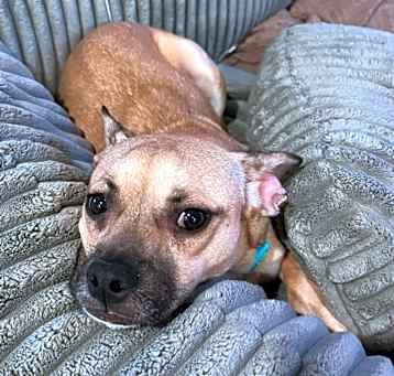 Lucy Photo #2