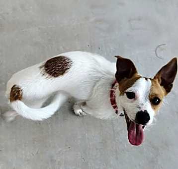 Ricky Photo #3