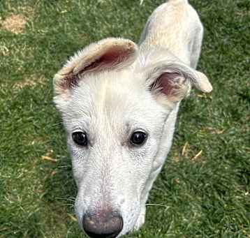 Bodie Photo #2