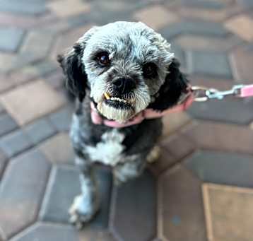 Peggy Photo #1