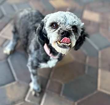 Peggy Photo #2
