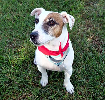 Arlo Photo #2
