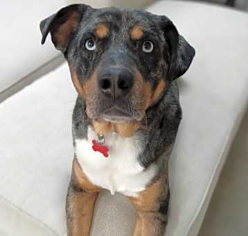 Finn Photo #3