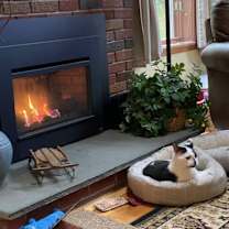 Thumbnail photo of Bob #3