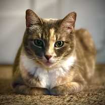 Thumbnail photo of Camille #1