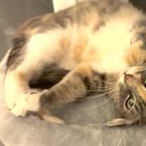 Thumbnail photo of Camille #2