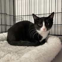 Thumbnail photo of Peanut #2