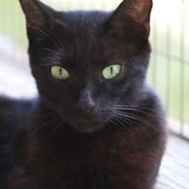 Thumbnail photo of Omega #1