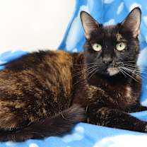 Thumbnail photo of Baby #2