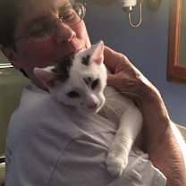 Thumbnail photo of 1 spot/2 spot bonded pair #2