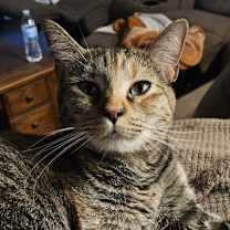 Thumbnail photo of Mueschka #1
