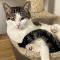 Thumbnail photo of Callie Mae #1
