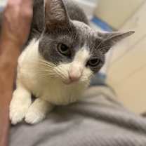 Thumbnail photo of Whiney #3